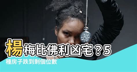 大腿根有痣 楊梅比佛利凶宅